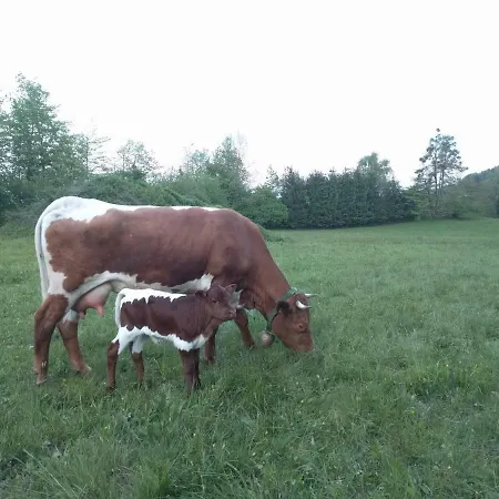 Farmház Puzman Farm Glamping *