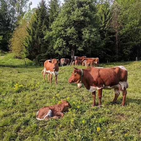 Puzman Farm Glamping *