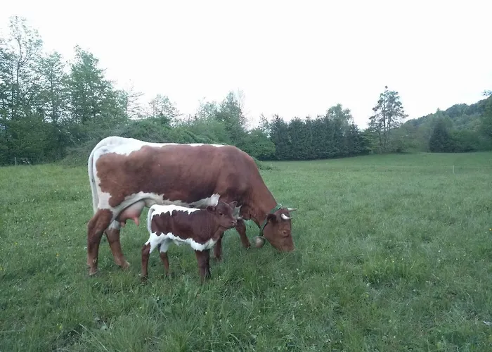 Vakantieboerderij Puzman Farm Glamping *