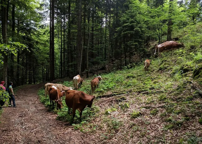 Puzman Farm Glamping Vakantieboerderij