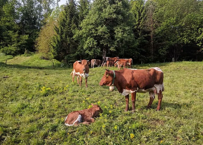 Puzman Farm Glamping *